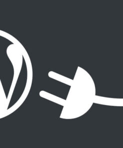 WordPress Plugins